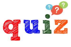 これは何でしょう? - 日本語で説明できるかな。