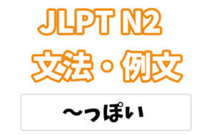 【JLPT N2】文法・例文:〜っぽい