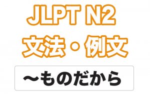 【JLPT N2】文法・例文:〜ものだから