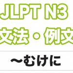 【JLPT N3】文法・例文:〜むけに