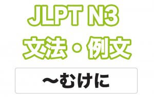 【JLPT N３】文法・例文：〜むけに
