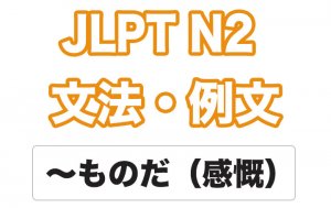 【JLPT N2】文法・例文:ものだ(感慨)