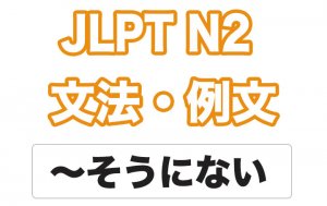【JLPT N2】文法・例文:〜そうにない /  〜そうもない