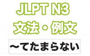 【JLPT N3】文法・例文:~てたまらない