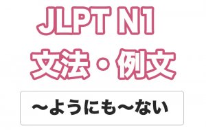 【JLPT N1】文法・例文:〜ようにも〜ない