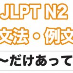 【JLPT N２】文法・例文：〜だけに