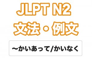 【JLPT N2】文法・例文:〜かいあって / 〜かいもなく