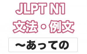【JLPT N１】文法・例文：〜あっての