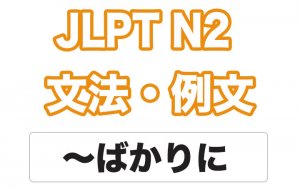 【JLPT N2】文法・例文: 〜ばかりに