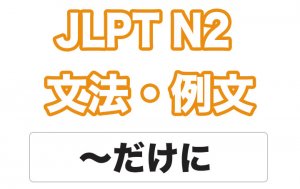 【JLPT N2】文法・例文:〜だけに