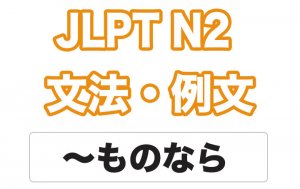 【JLPT N2】文法・例文:〜ものなら