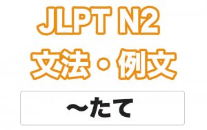 【JLPT N２】文法・例文：〜たて