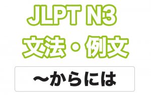 【JLPT N3】文法・例文:〜からには