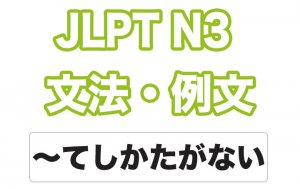 【JLPT N３】文法・例文：〜てしかたがない / 〜でしょうがない