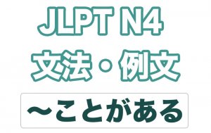 【JLPT N4】文法・例文:〜ことがある / 〜こともある