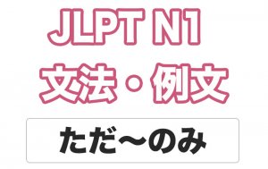 【JLPT N１】文法・例文：ただ〜のみ