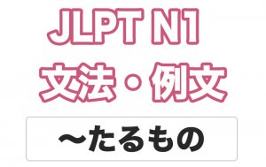【JLPT N1】文法・例文:〜たるもの