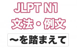 【JLPT N1】文法・例文:〜を踏まえて