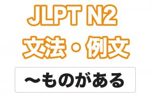 【JLPT N２】文法・例文：〜ものがある