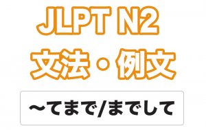 【JLPT N2】文法・例文:〜てまで / 〜までして