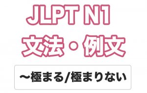 【JLPT N1】文法・例文:〜極まる /  〜極まりない