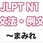 【JLPT N1】文法・例文:〜まみれ