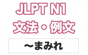 【JLPT N1】文法・例文:〜まみれ