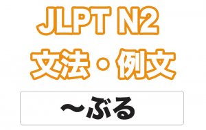 【JLPT N２】文法・例文：〜ぶる