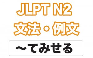【JLPT N2】文法・例文:〜てみせる