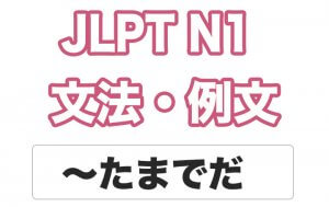 【JLPT N1】文法・例文:〜たまでだ / 〜たまでのことだ