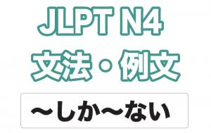 【JLPT N4】文法・例文：〜しか〜ない