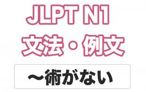 【JLPT N1】文法・例文:〜術がない