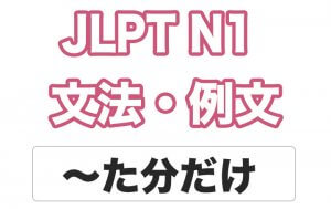 【JLPT N1】文法・例文:〜た分だけ