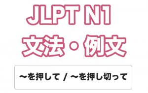 【JLPT N1】文法・例文:〜を押して / 〜を押し切って