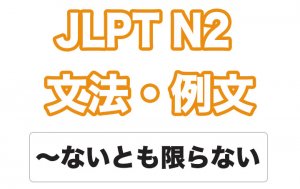 【JLPT N2】文法・例文:〜ないとも限らない