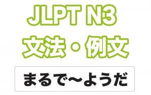 【JLPT N3】文法・例文:まるで〜ようだ(比喩)