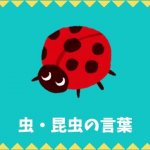 日本語語彙 海 川の生き物リスト 日本語net
