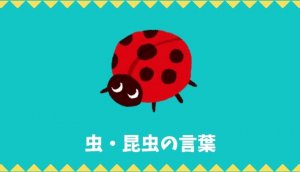 【日本語語彙】虫・昆虫の言葉リスト