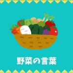 【日本語語彙】野菜の言葉リスト