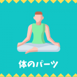 【日本語語彙】体のパーツの言葉リスト