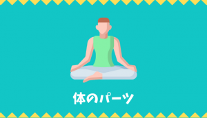 【日本語語彙】体のパーツの言葉リスト