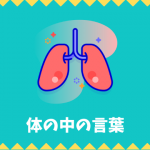 【日本語語彙】体の中（臓器・器官・骨など）の言葉リスト