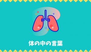 【日本語語彙】体の中(臓器・器官・骨など)の言葉リスト