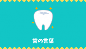 【日本語語彙】「歯」の言葉リスト