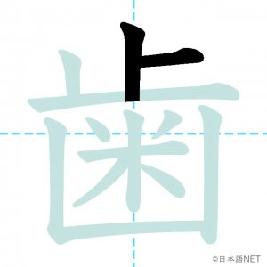 Jlpt N3漢字 歯 の意味 読み方 書き順 日本語net