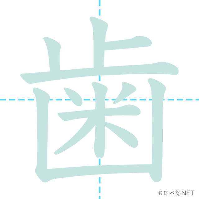 漢字「歯」の書き順