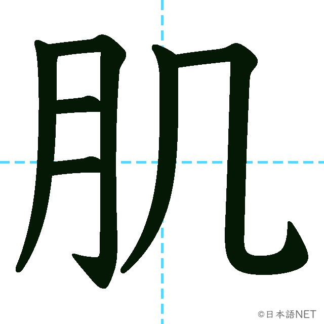 【JLPT N2漢字】「肌」の意味・読み方・書き順
