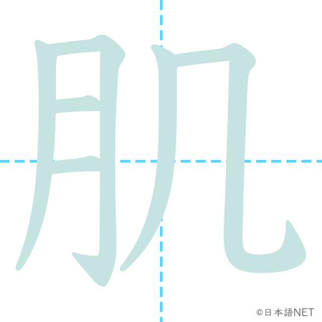 漢字「肌」の書き順