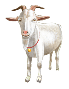 【オノマトペ】メェーの意味と例文