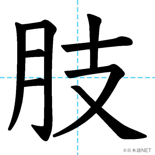 【JLPT N1漢字】「肢」の意味・読み方・書き順